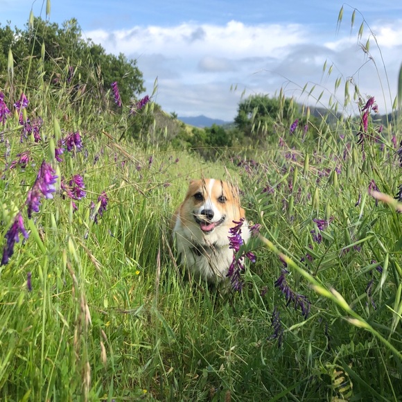 Meet the Posher - Picture 10 of 10